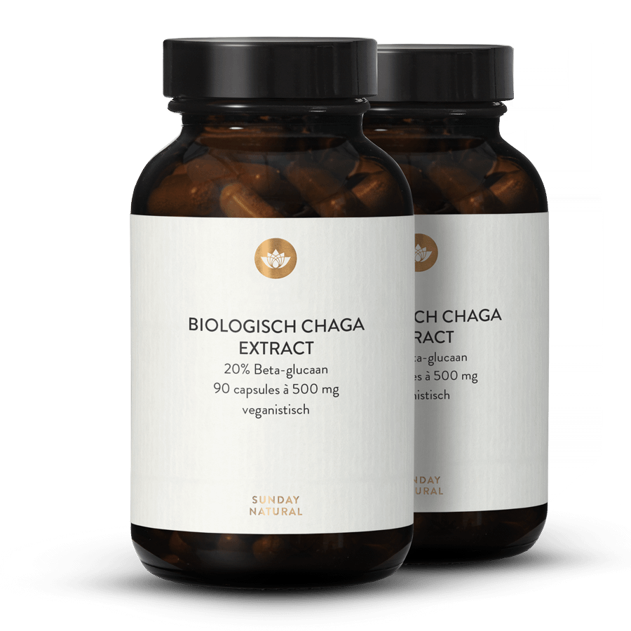 Biologisch Chaga Extract 20% Beta-Glucan 2x90 capsules