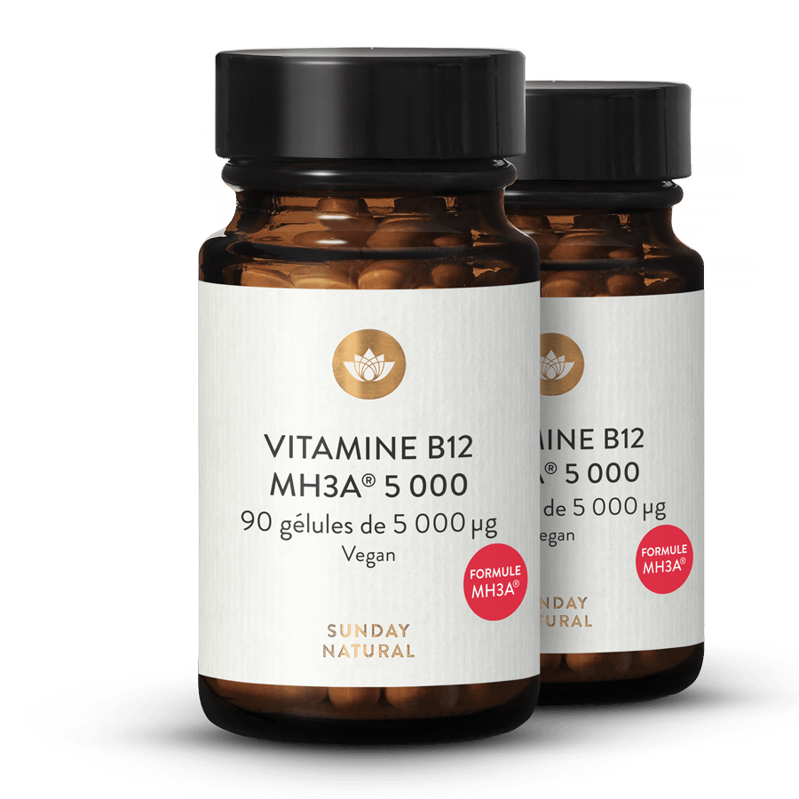 Vitamine B12 5 000 µg Formule MH3A® à dosage élevé 2 x 90 gélules