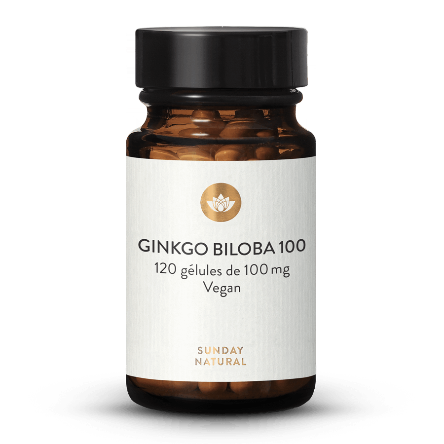 Ginkgo biloba 100 mg, extrait 45:1 120 gélules
