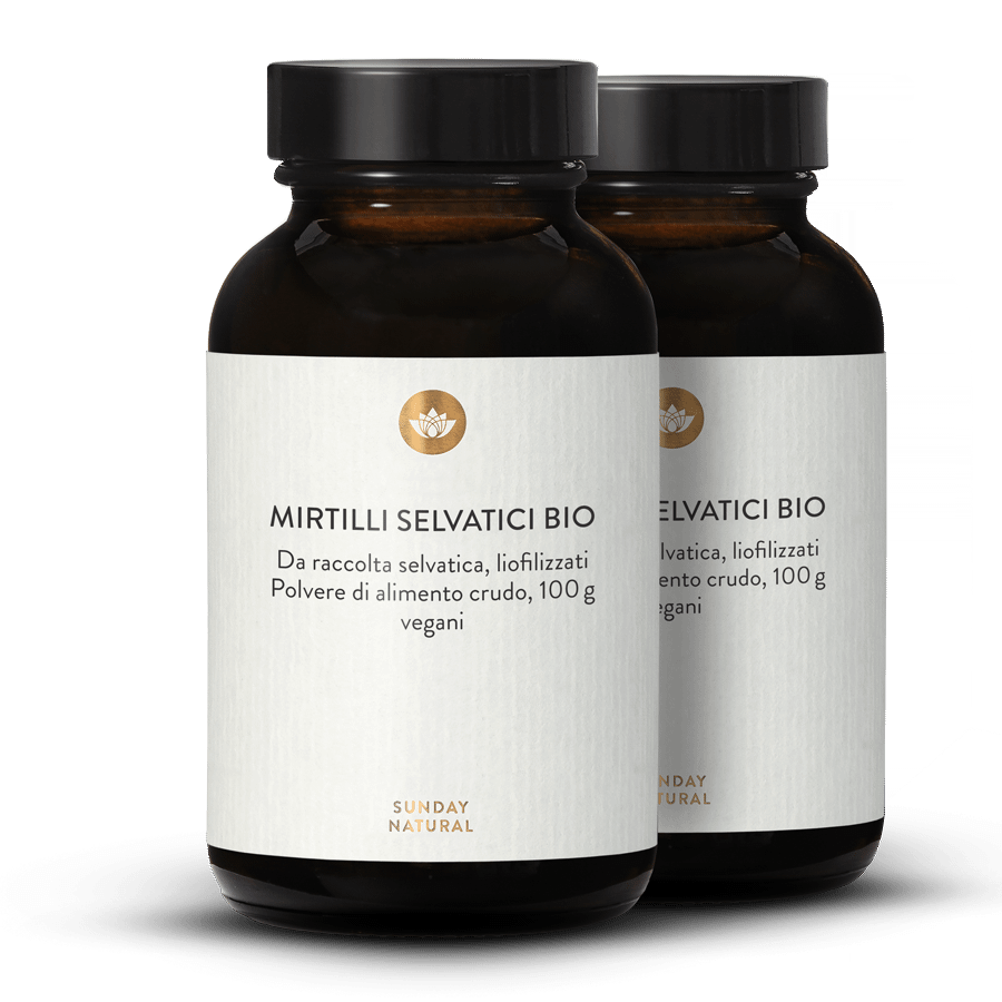 Mirtilli Selvatici Bio in Polvere 2 x 100 g