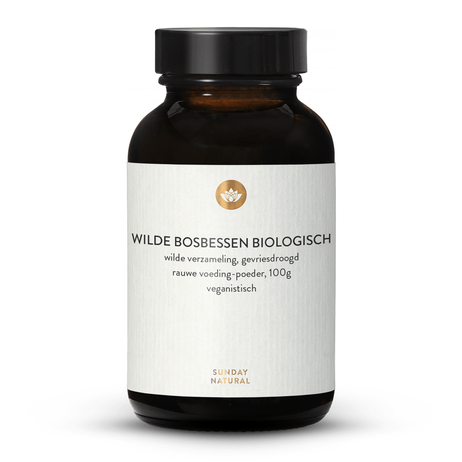 Bio Wilde Bosbessenpoeder 100g