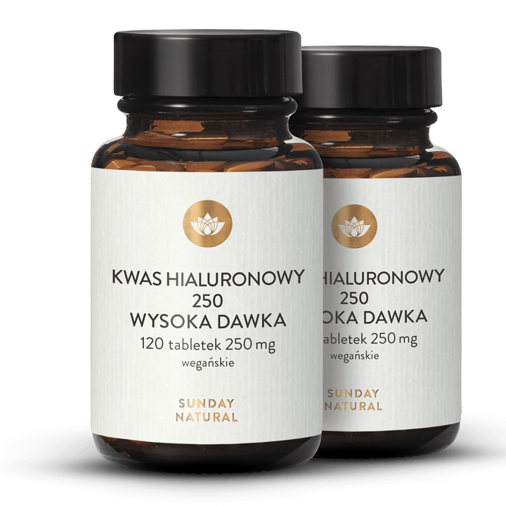 Kwas hialuronowy z fermentacji 250 mg 2x120 tabletek