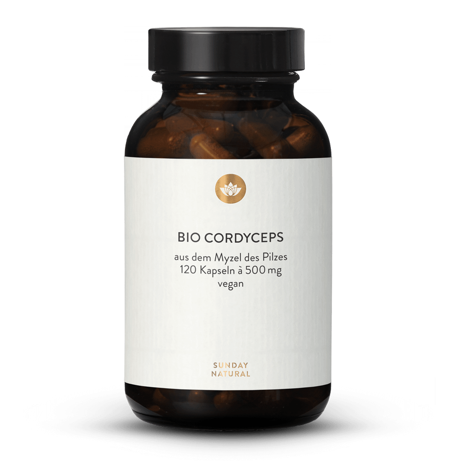 Bio Cordyceps Pulver Kapseln 120 Kapseln