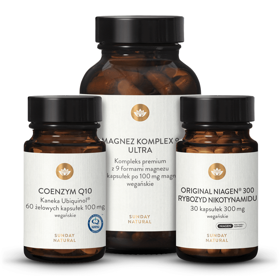 ZESTAW Energy & Vitality 1 szt.