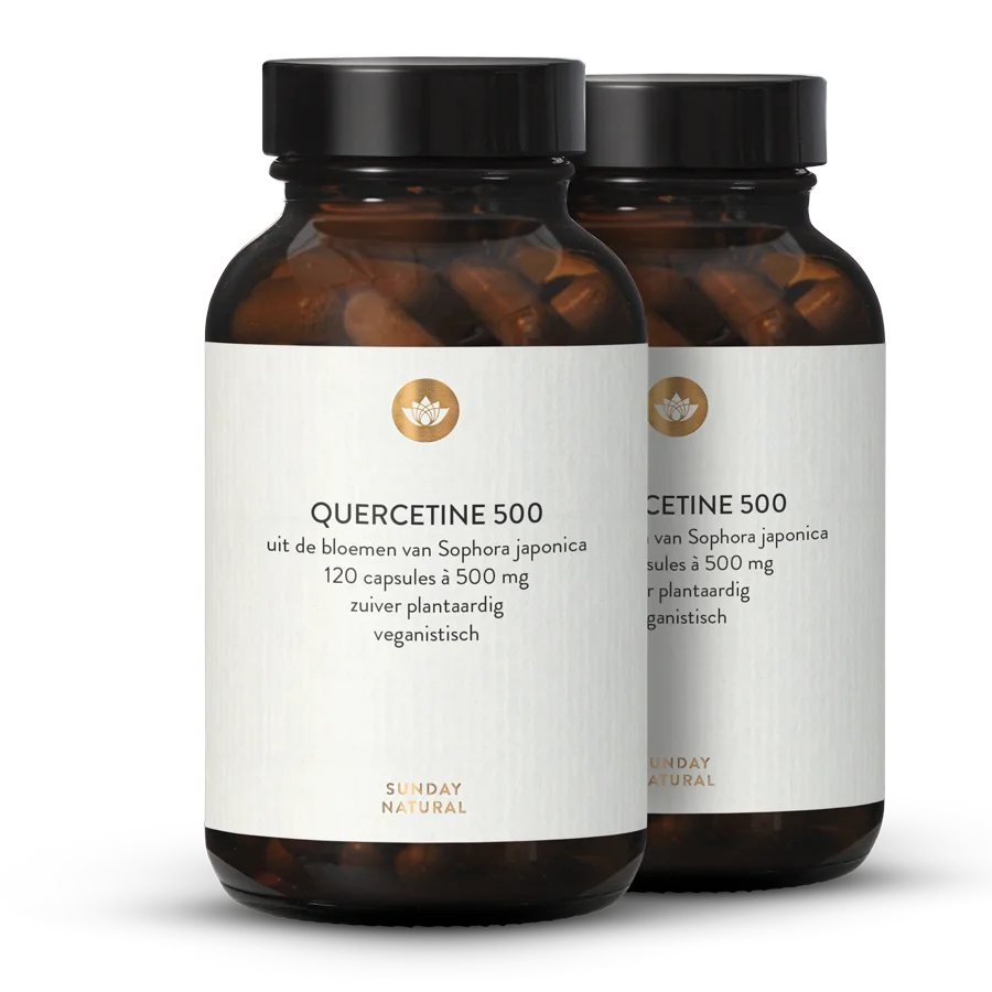 Quercetine 500 2x120 capsules
