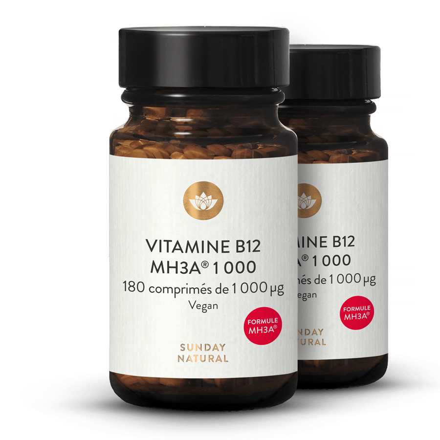 Vitamine B12 Formule MH3A® 1 000 µg 2 x 180 comprimés