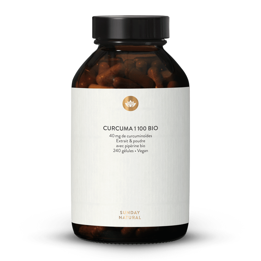 Curcuma bio 1100 en gélules 240 gélules