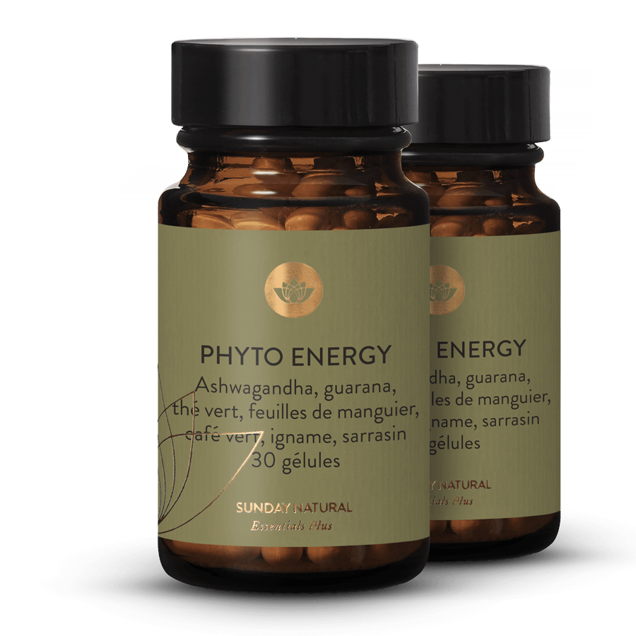 Phyto Energy 2 x 30 gélules