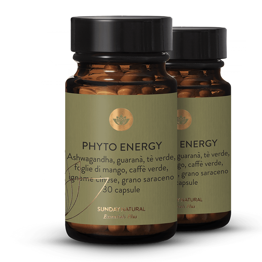 Phyto Energy Vital Mix 2 x 30 capsule