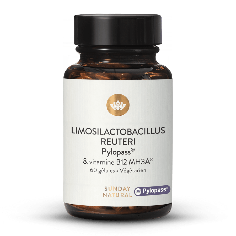 Limosilactobacillus reuteri Pylopass® 60 gélules