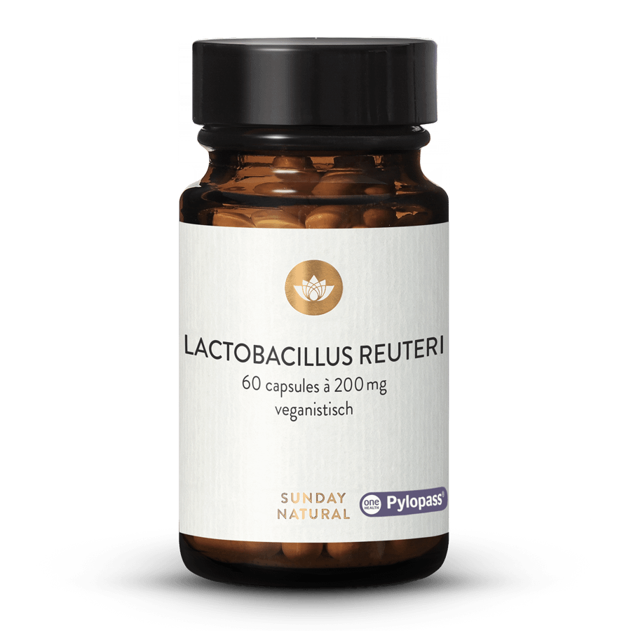 Limosilactobacillus Reuteri 60 capsules