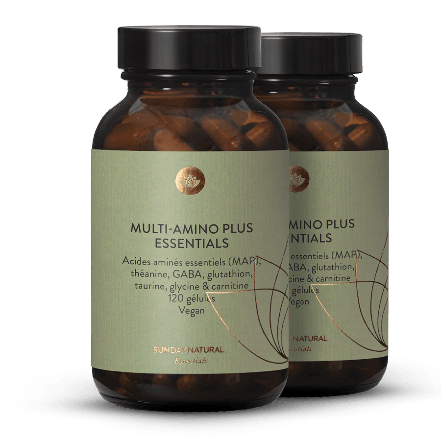 Complexe Multi-Amino Plus 2 x 120 gélules
