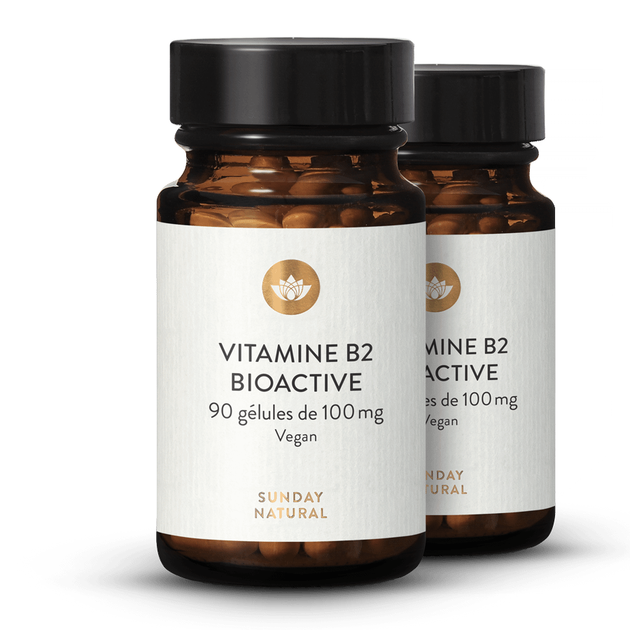Vitamine B2 bioactive 2 x 90 gélules