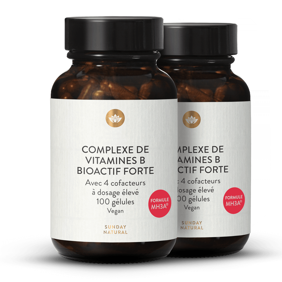 Complexe de vitamines B bioactif Forte 2 x 100 gélules