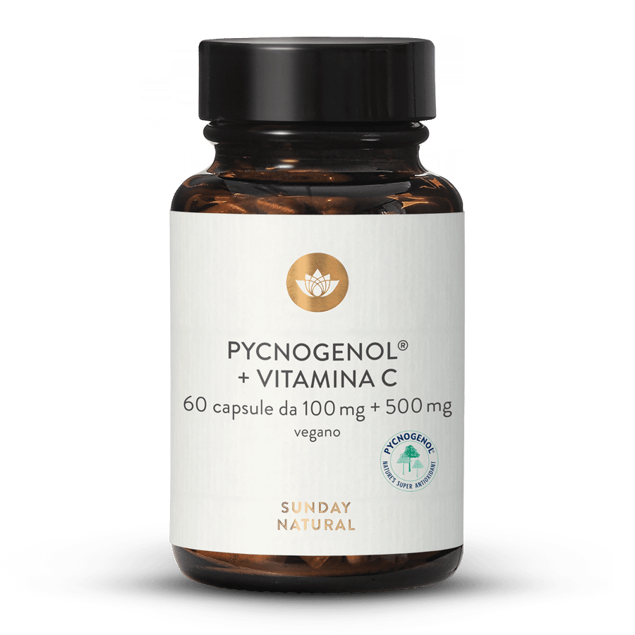 Pycnogenol® 100+C estratto di corteccia di pino 60 capsule