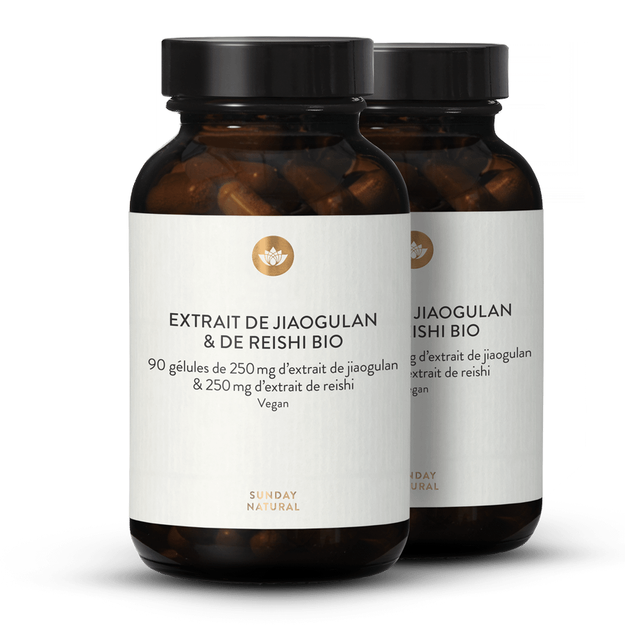 Extrait De Jiaogulan + Reishi Bio En Gélules 2 x 90 gélules