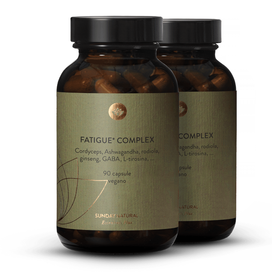 Fatigue Complex 2 x 90 capsule