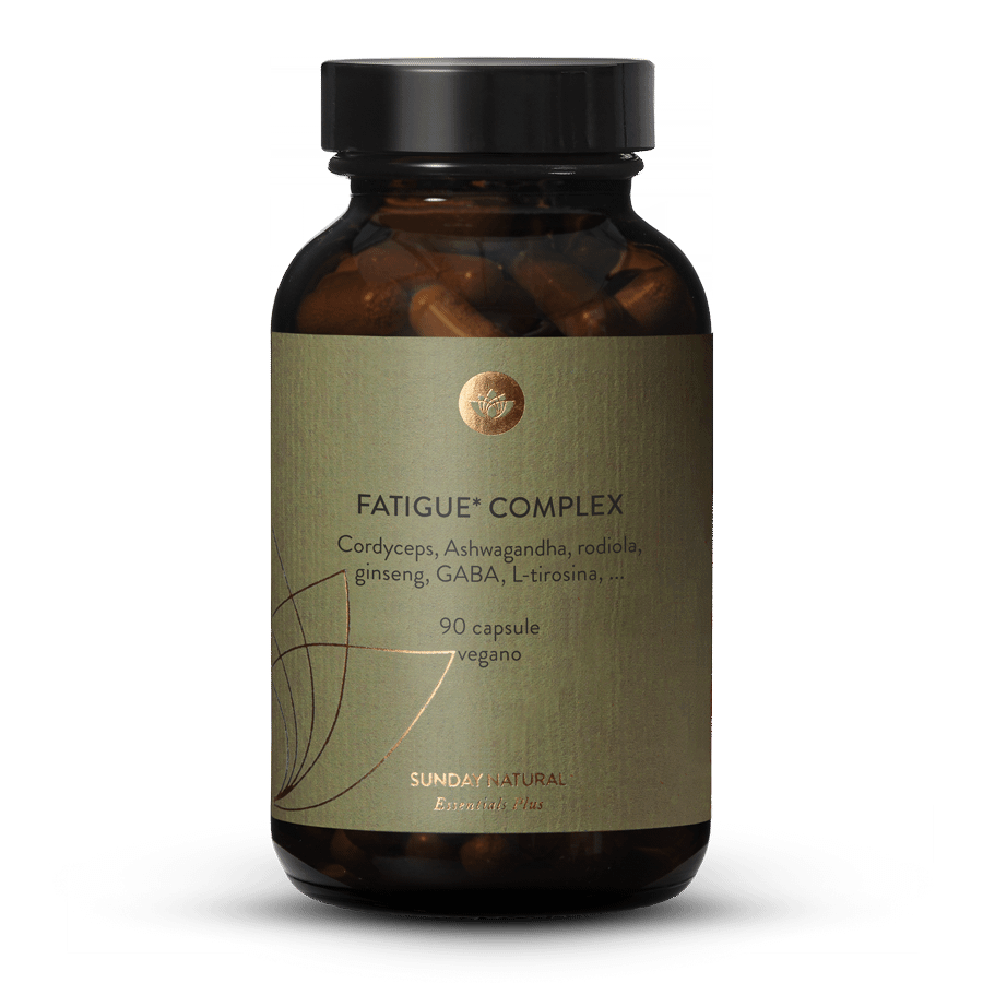 Fatigue Complex 90 capsule