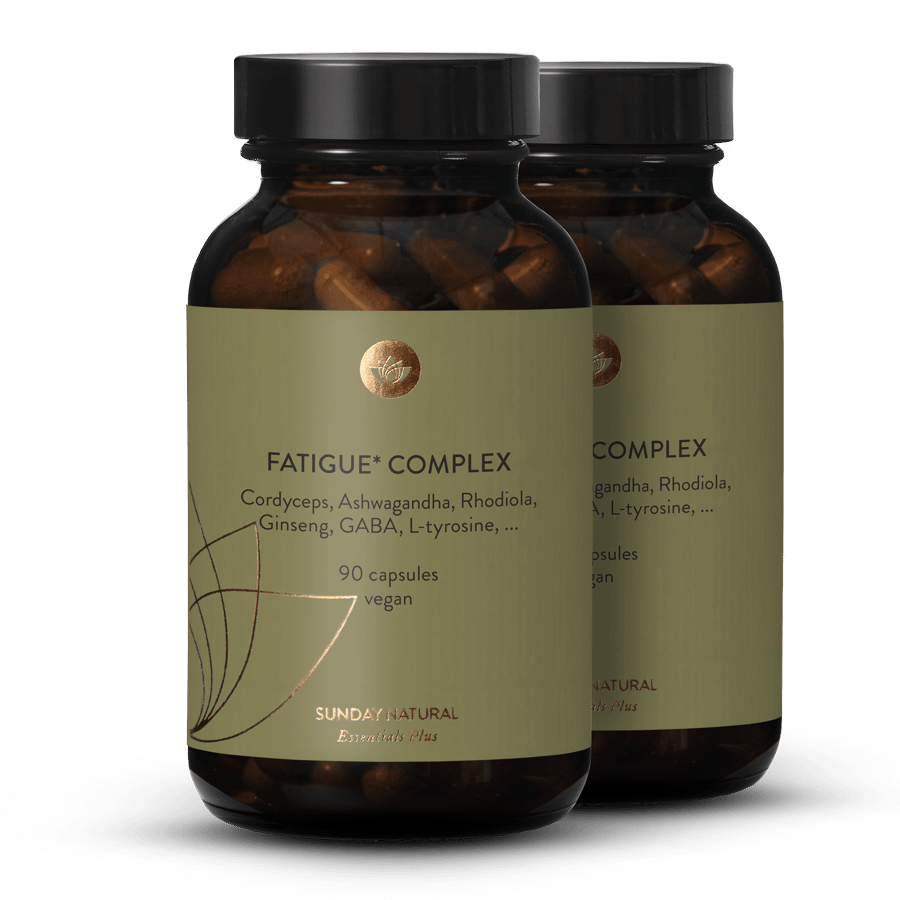 Fatigue Complex 2x90 capsules