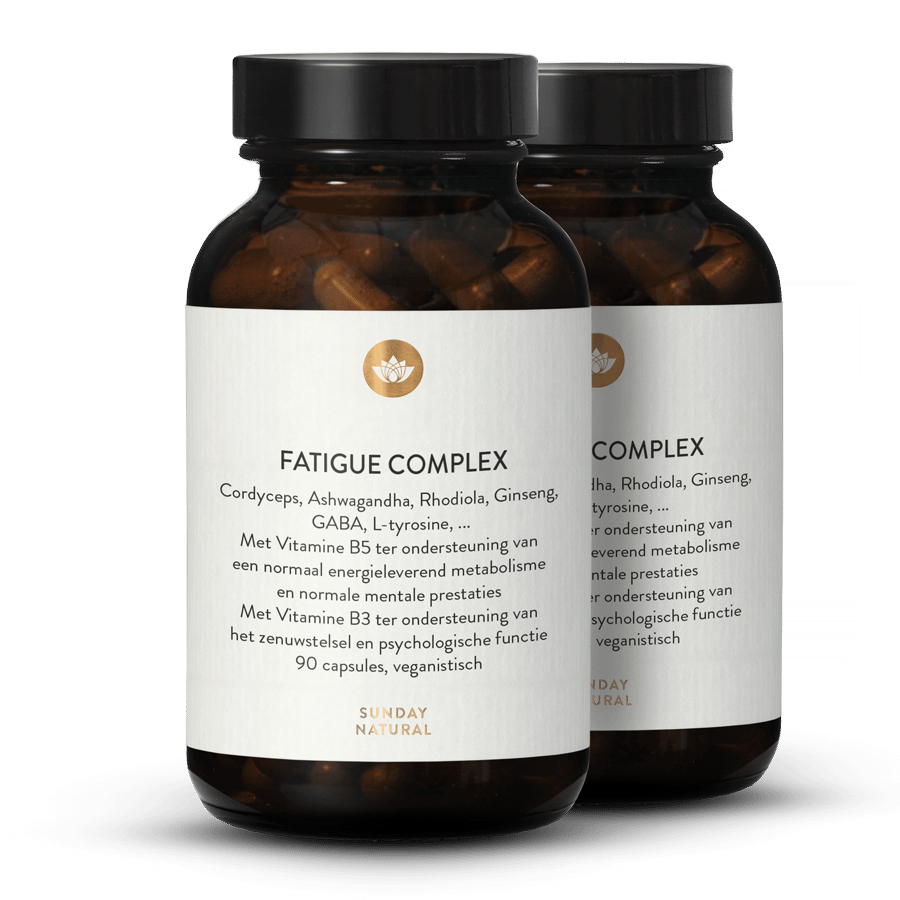 Fatigue Complex 2x90 capsules