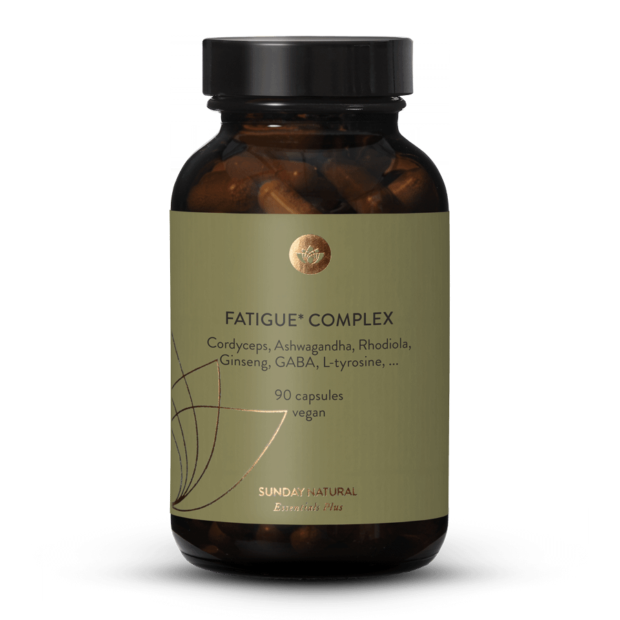 Fatigue Complex 90 capsules