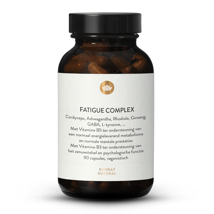Fatigue Complex 90 capsules