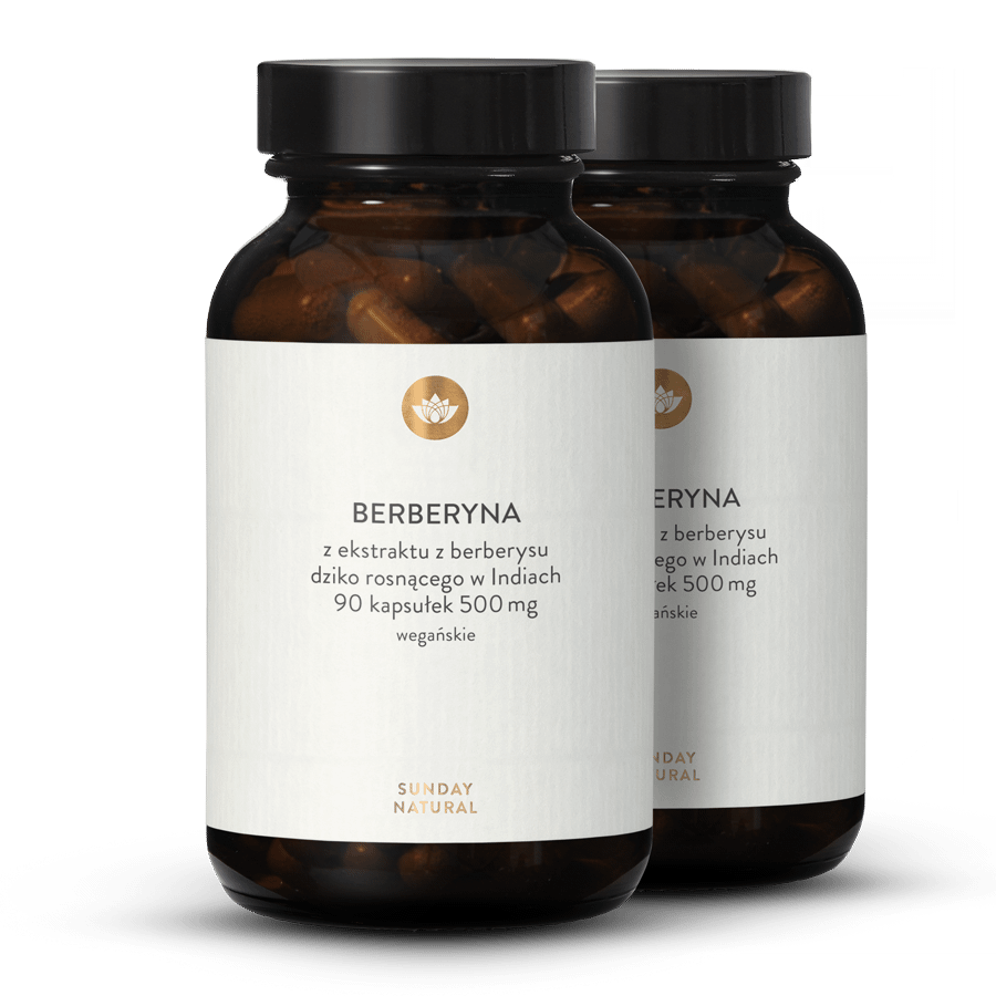 Berberyna 500mg kapsułki 2x90 kapsułek