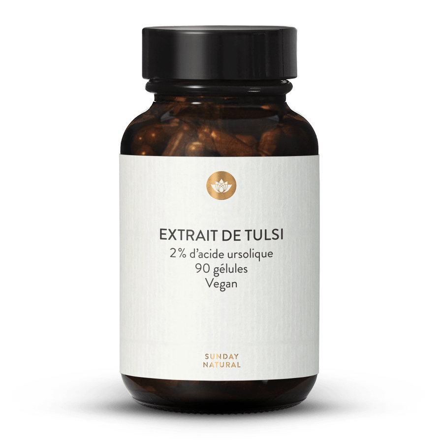 Extrait de tulsi en gélules 90 gélules