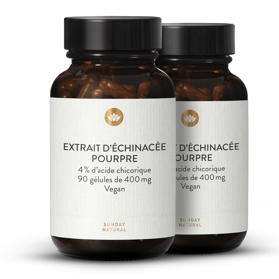 Extrait d'échinacée pourpre 400 mg en gélules 2 x 90 gélules