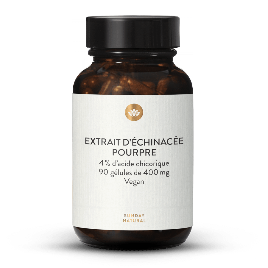 Extrait d'échinacée pourpre 400 mg en gélules 90 gélules