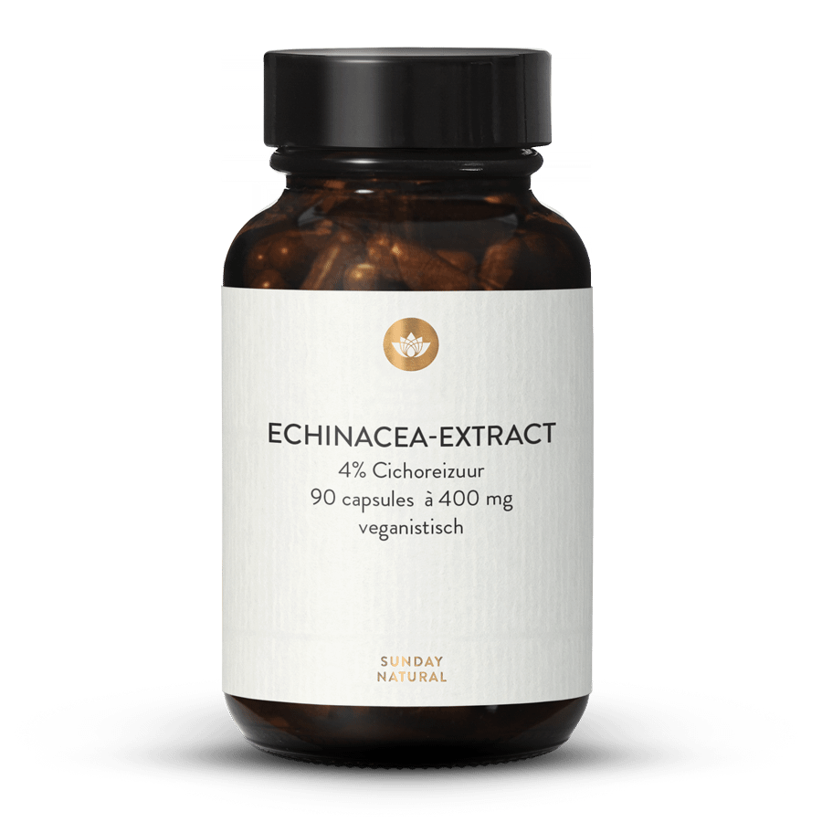 Echinacea Extract 400 mg capsules 90 capsules