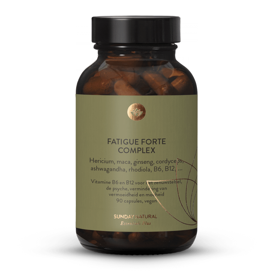 Fatigue Forte Complex 90 capsules