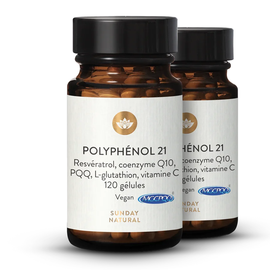 Complexe de polyphénols 21 2 x 120 gélules