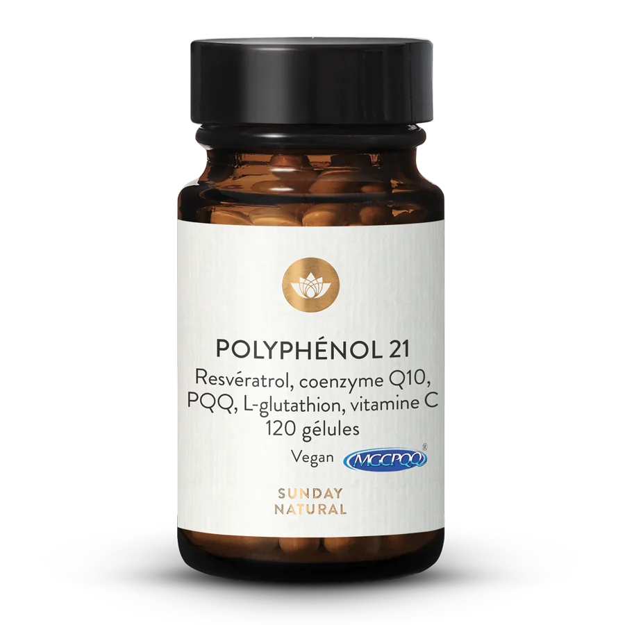 Complexe de polyphénols 21 120 gélules