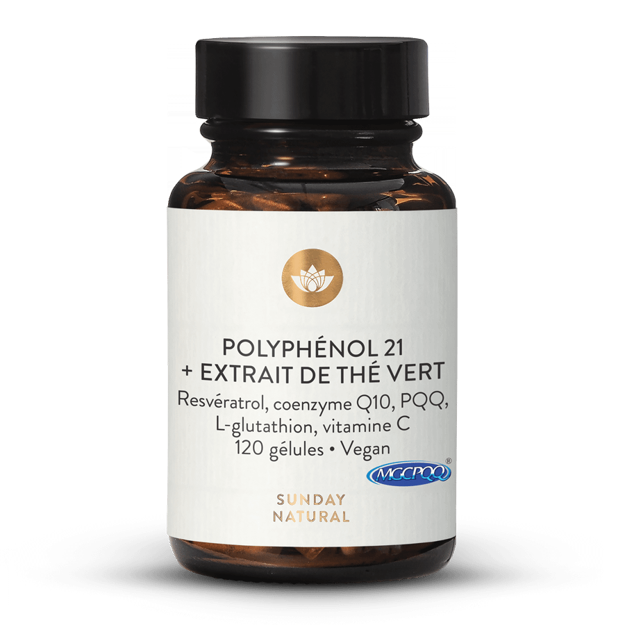 Polyphénols 21  + extrait de thé vert 120 gélules