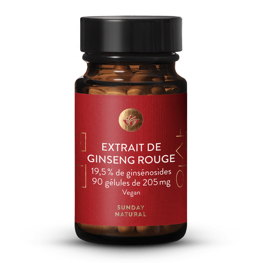 Extrait de ginseng rouge 19,5 % 90 gélules
