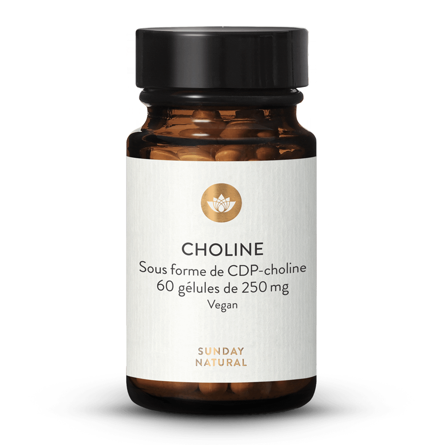 CDP-choline 250 Mg En Gélules 60 gélules