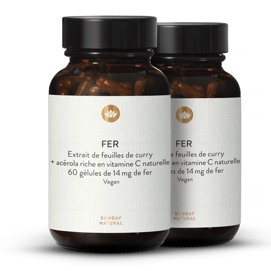 Fer 14 mg 2 x 60 gélules