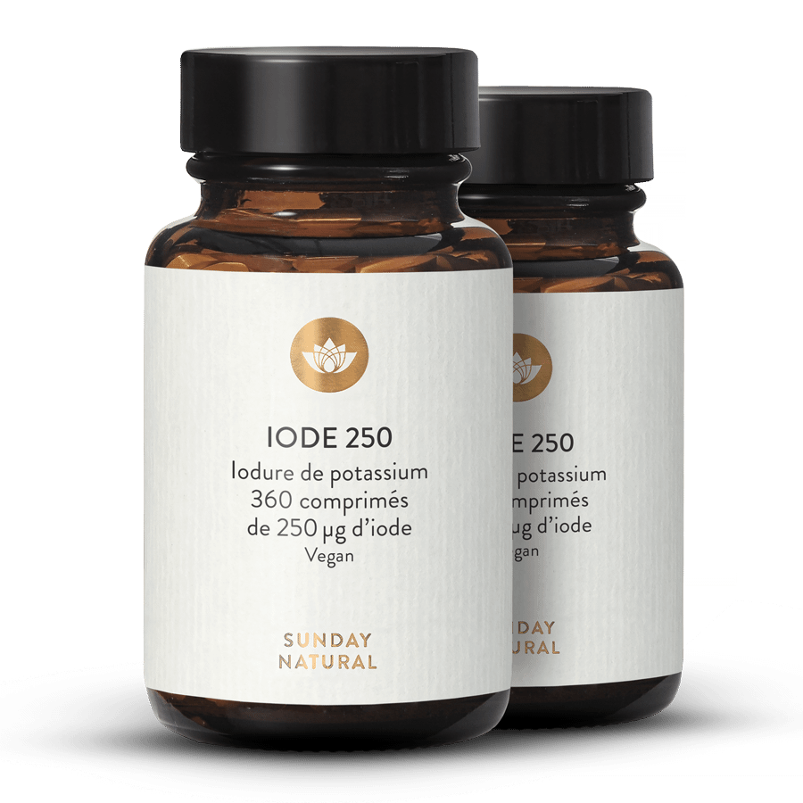 IODE 250 µg MINI COMPRIMÉS 2x360 comprimés