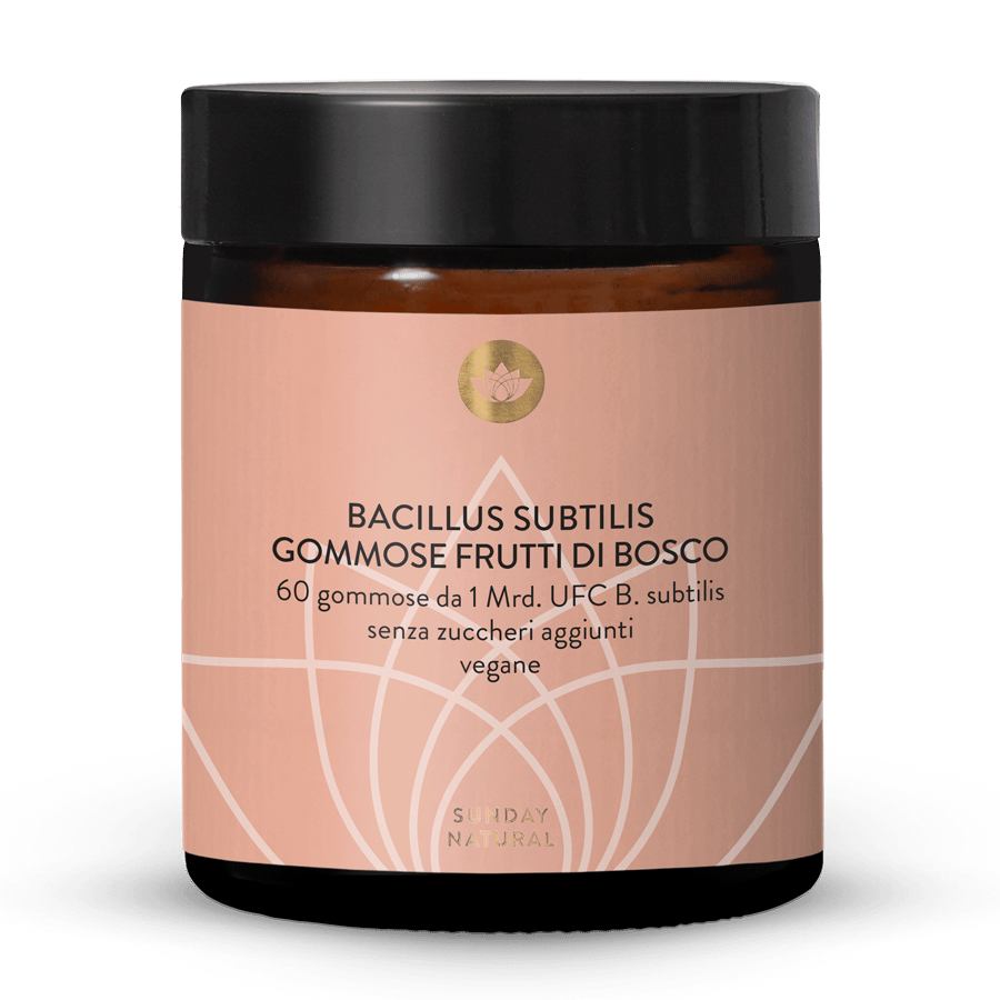 Gommose Bacillus subtilis 60 gommose