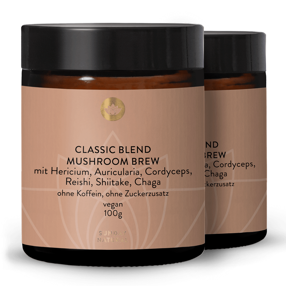 Classic Blend Mushroom Brew 2x100g