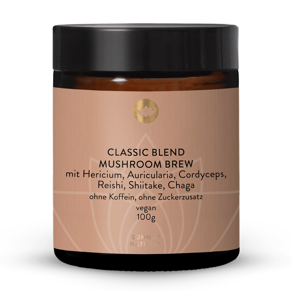 Classic Blend Mushroom Brew 100g