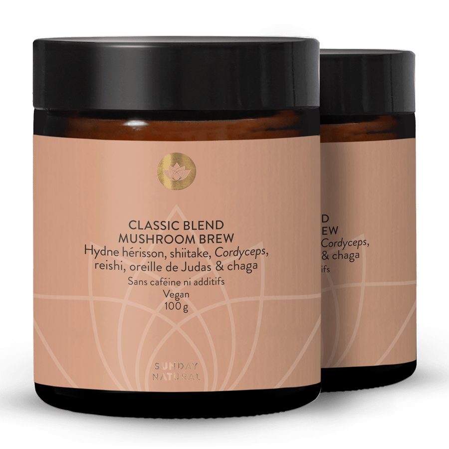 Classic Blend Mushroom Brew 2 x 100 g