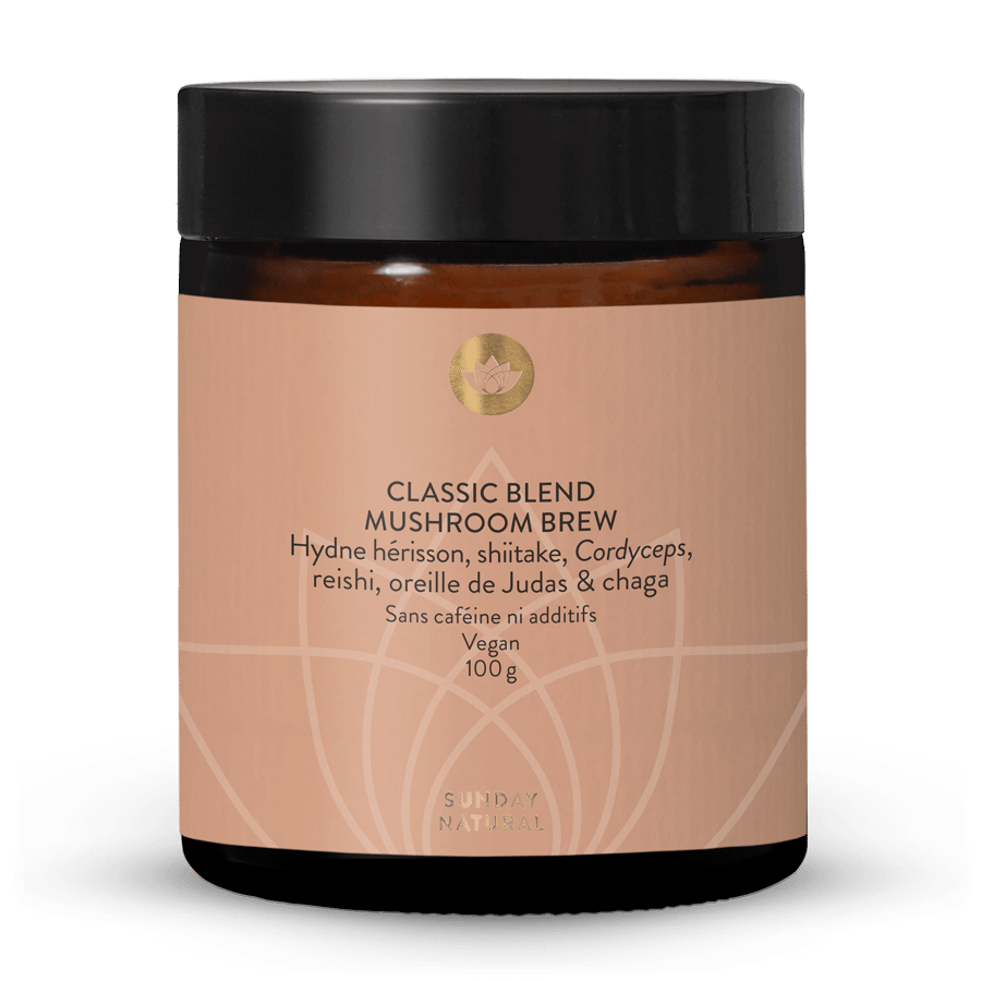 Classic Blend Mushroom Brew 100 g