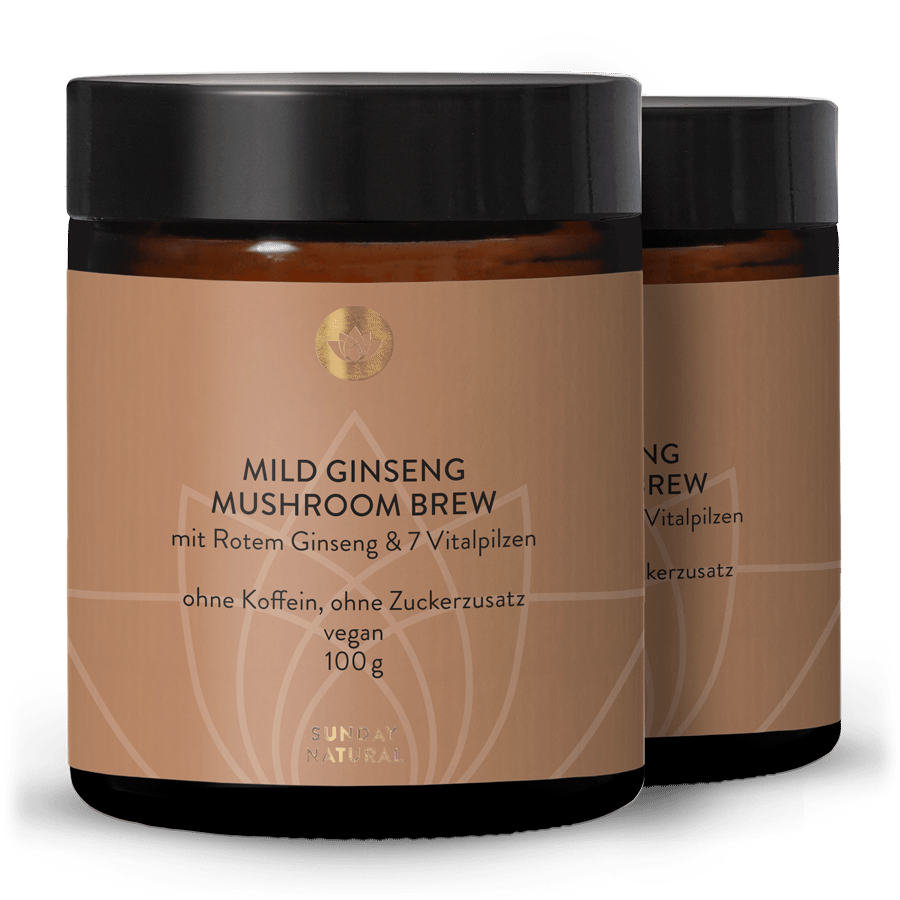Mild Ginseng Mushroom Brew 2x100g