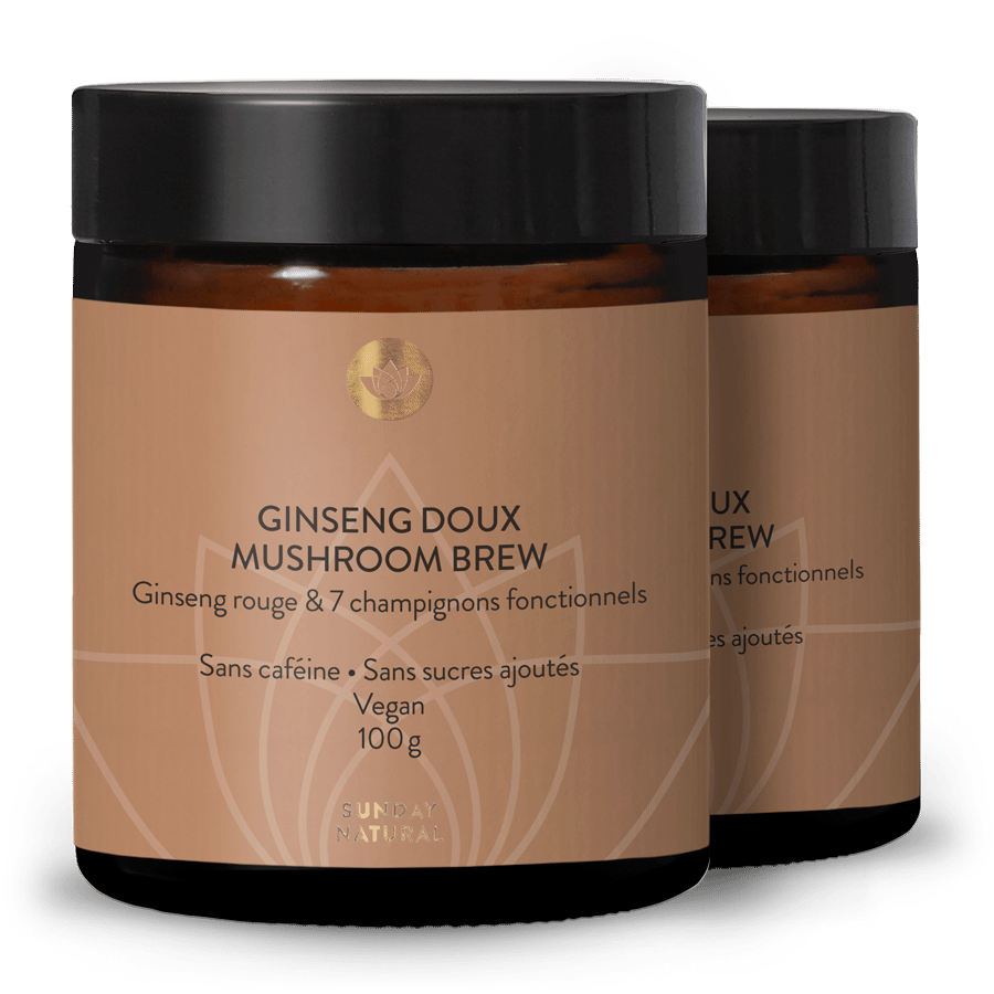 Mild ginseng mushroom brew 2 x 100 g