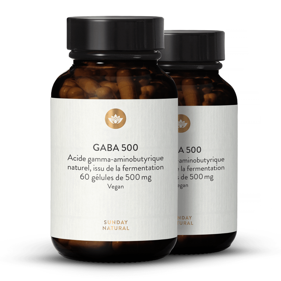Gaba 500 Mg En Gélules 2 x 60 gélules