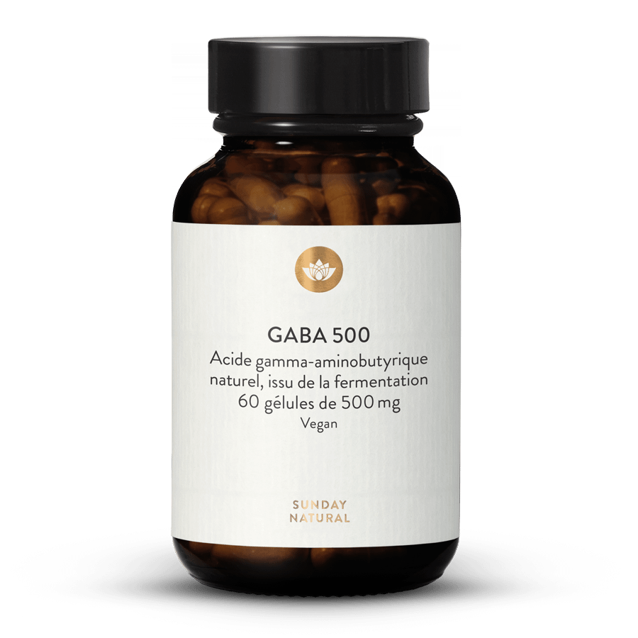 Gaba 500 Mg En Gélules 60 gélules