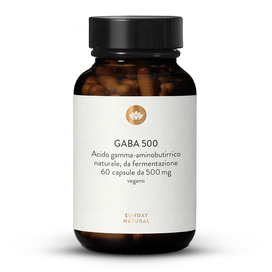 GABA 500 mg capsule 60 capsule