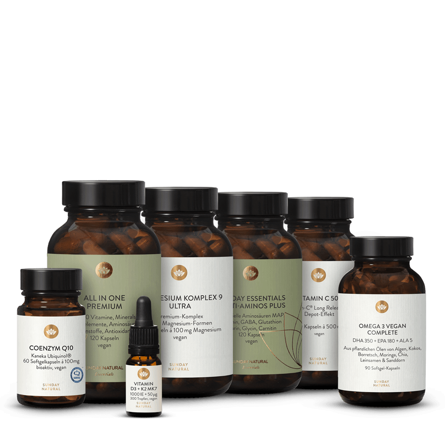 La routine optimale 1 p.
